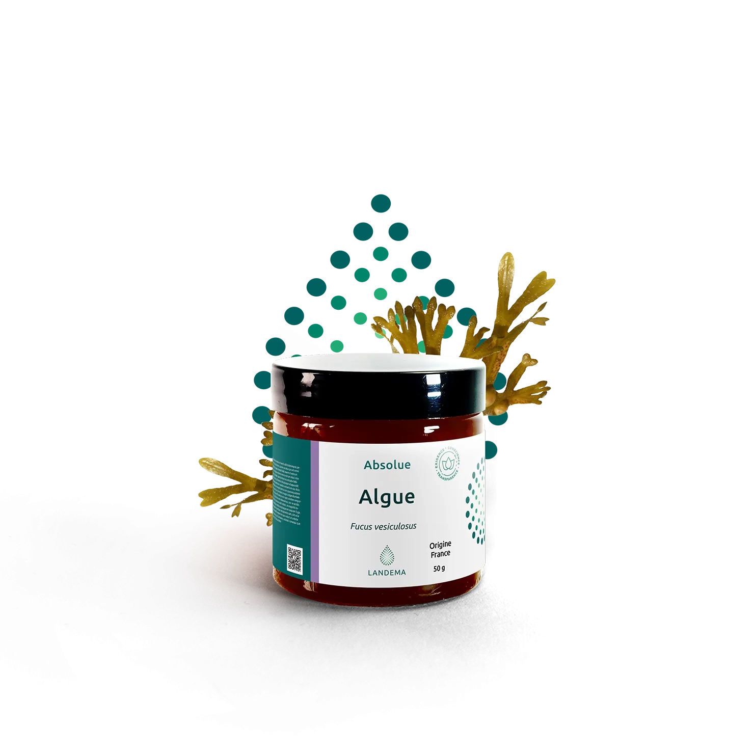Algue