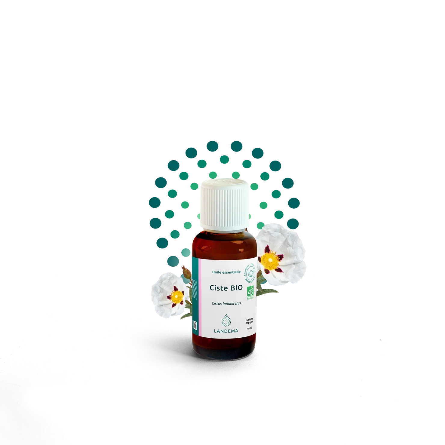 Ciste BIO