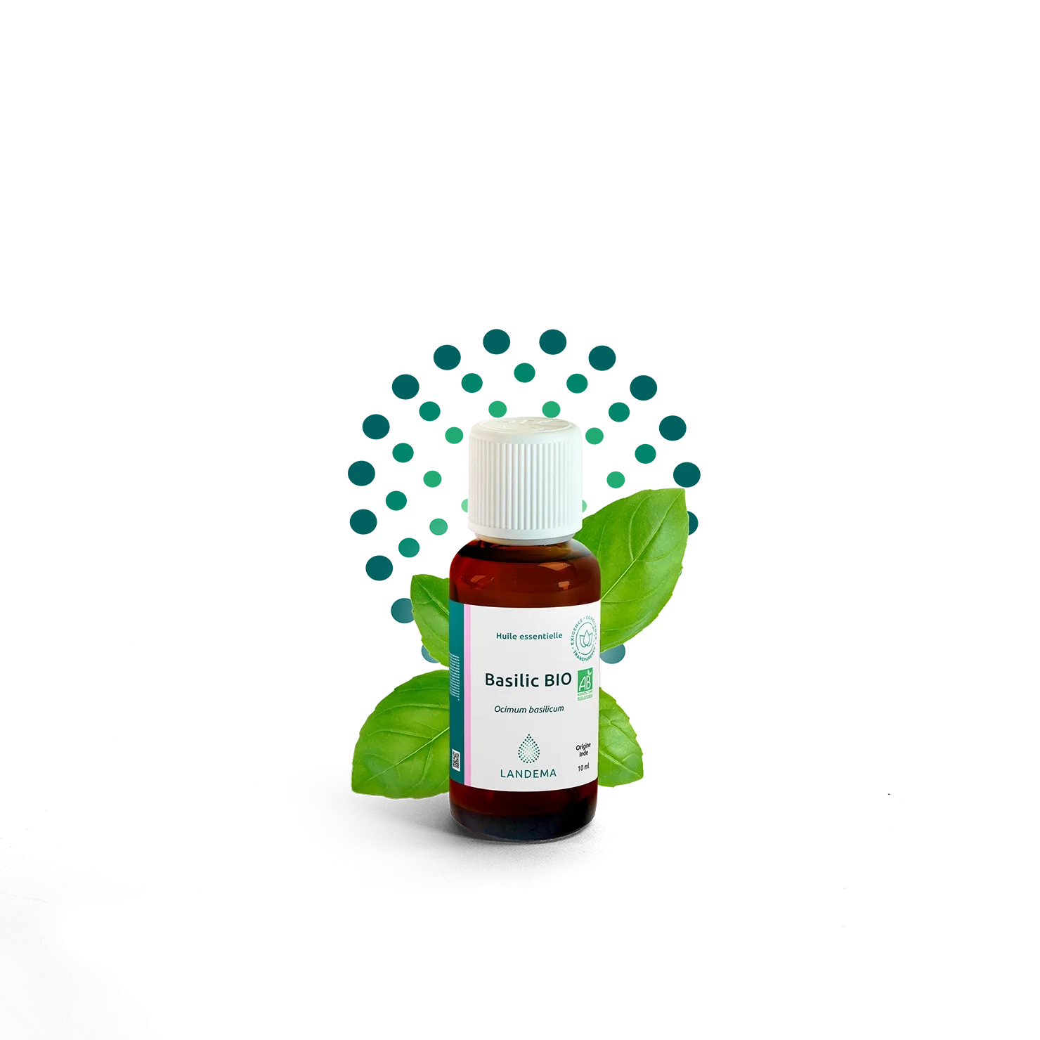 Basilic BIO