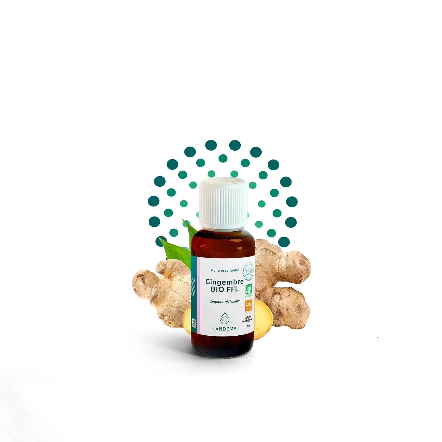 Gingembre BIO FFL