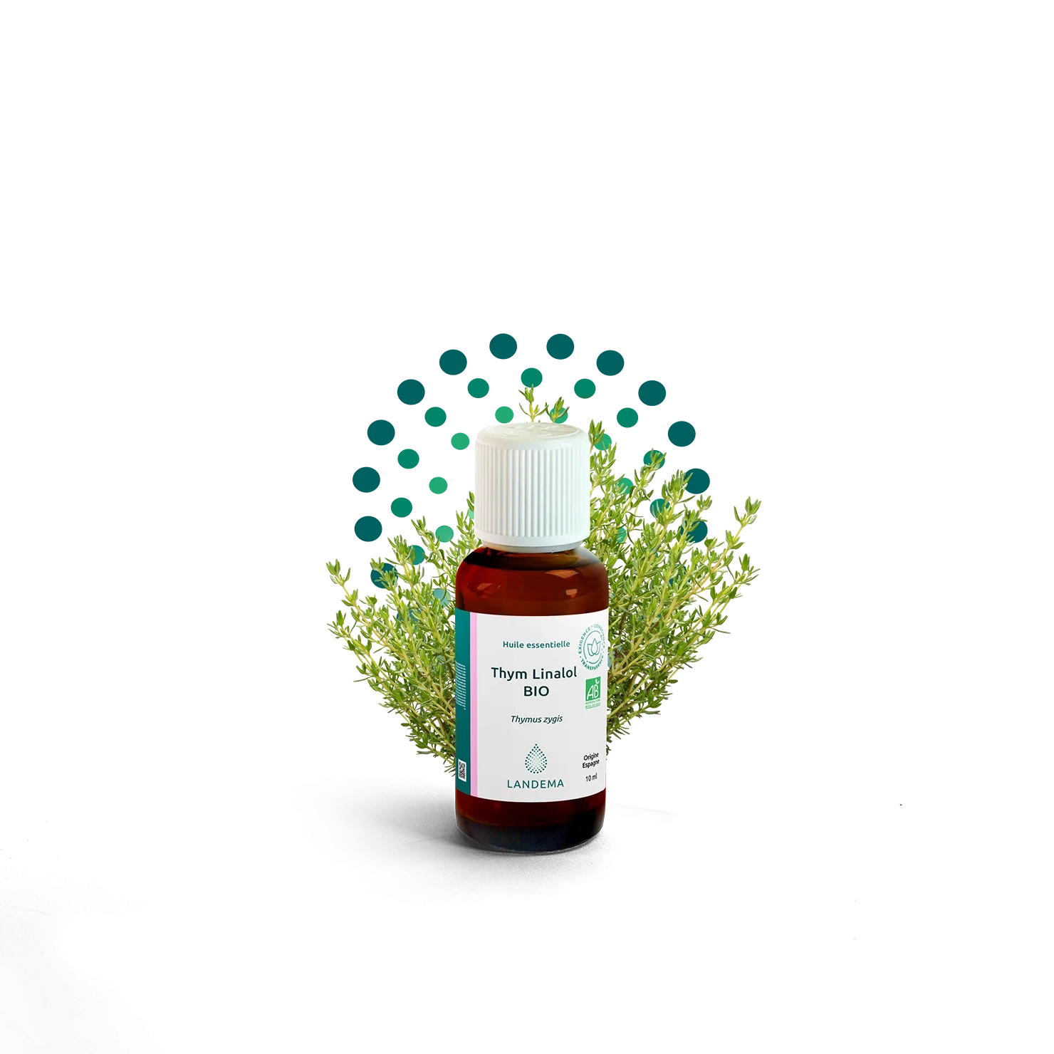 Thym Linalol BIO