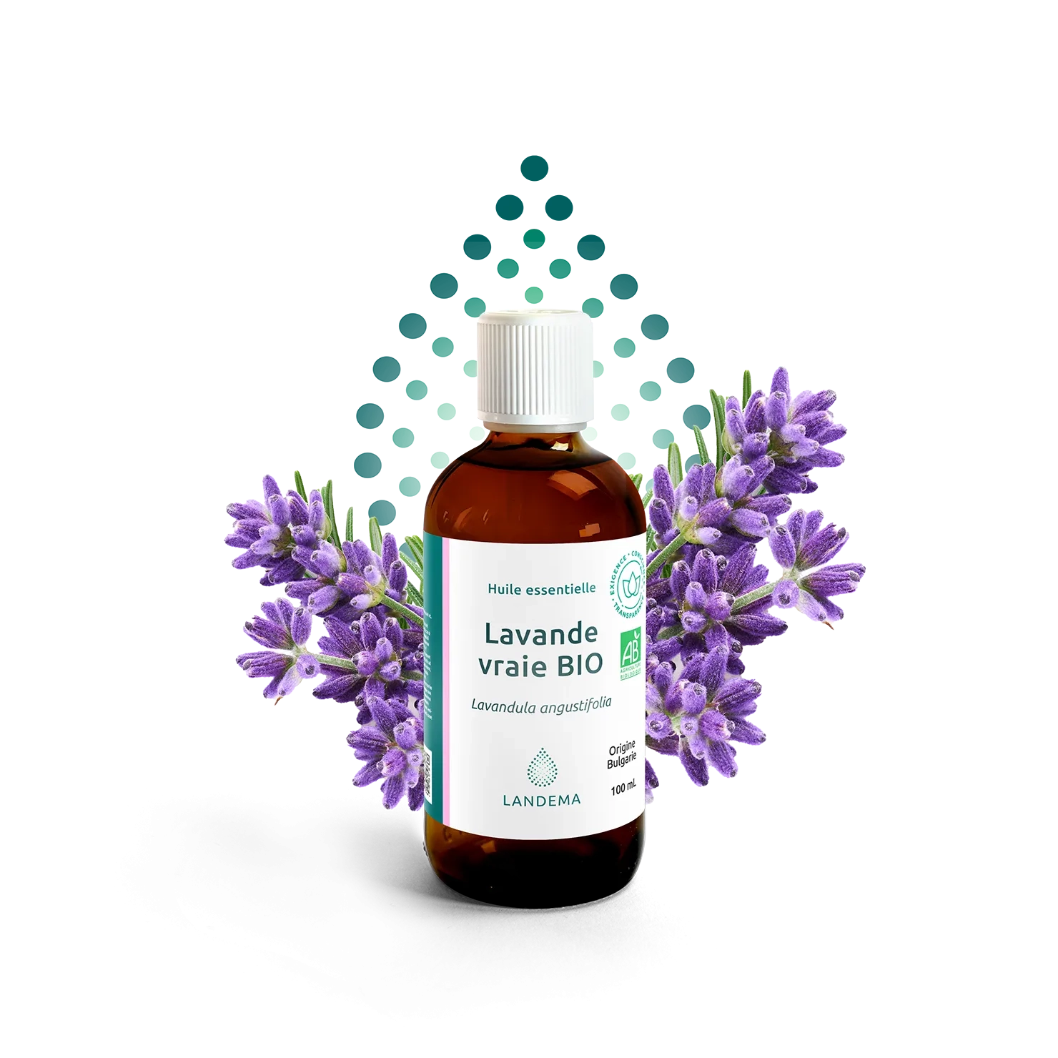 Lavande vraie BIO