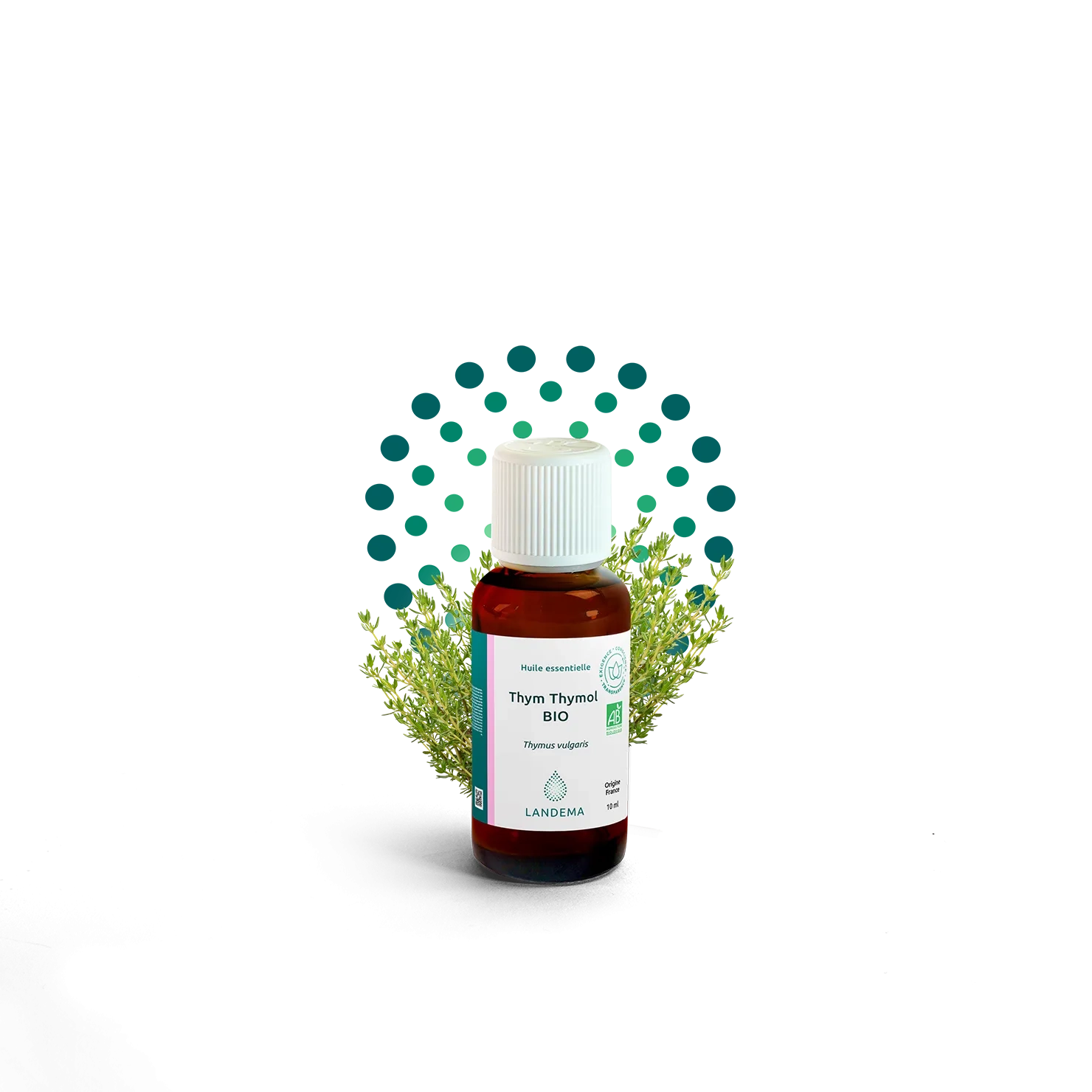 Thym Thymol BIO