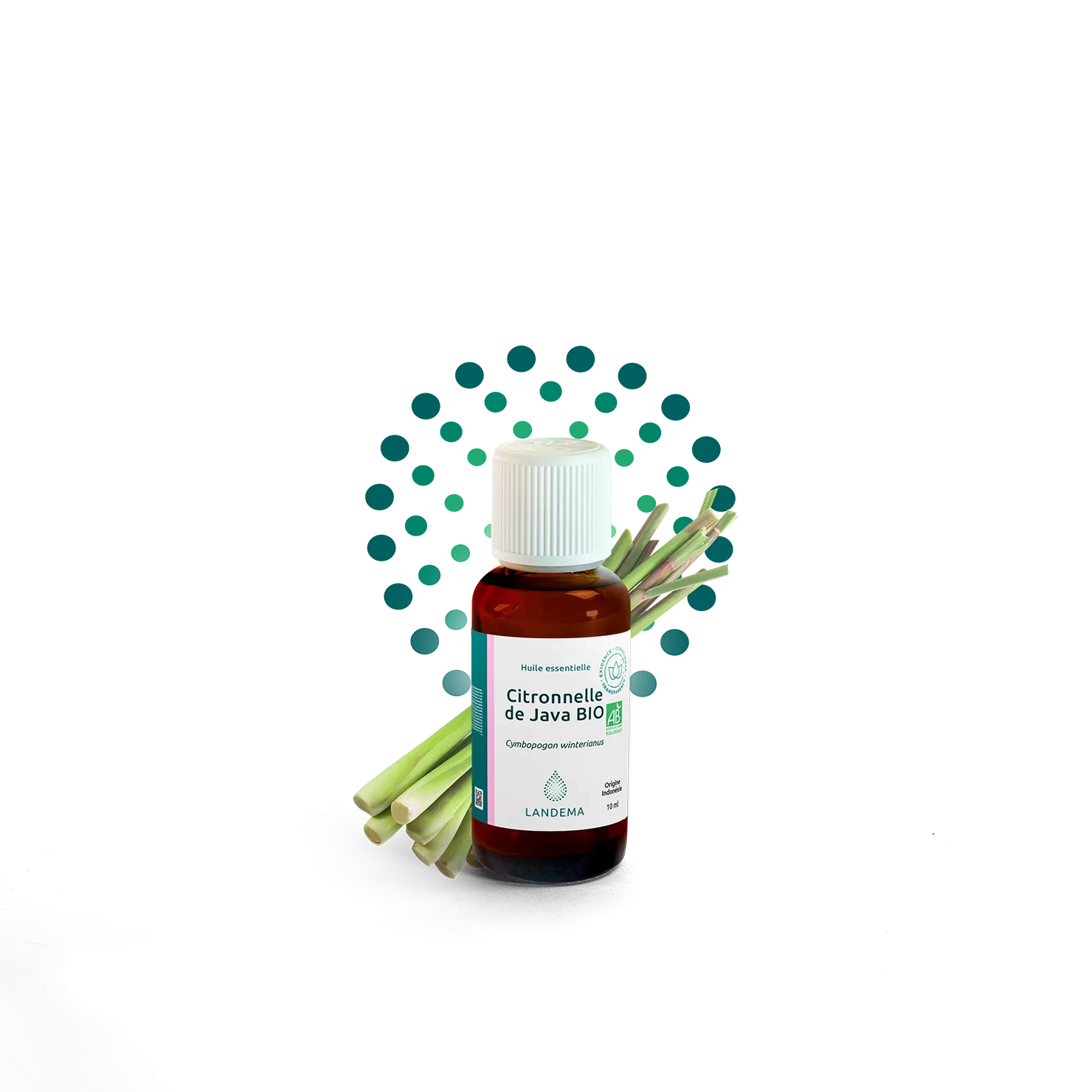 Citronnelle de Java BIO