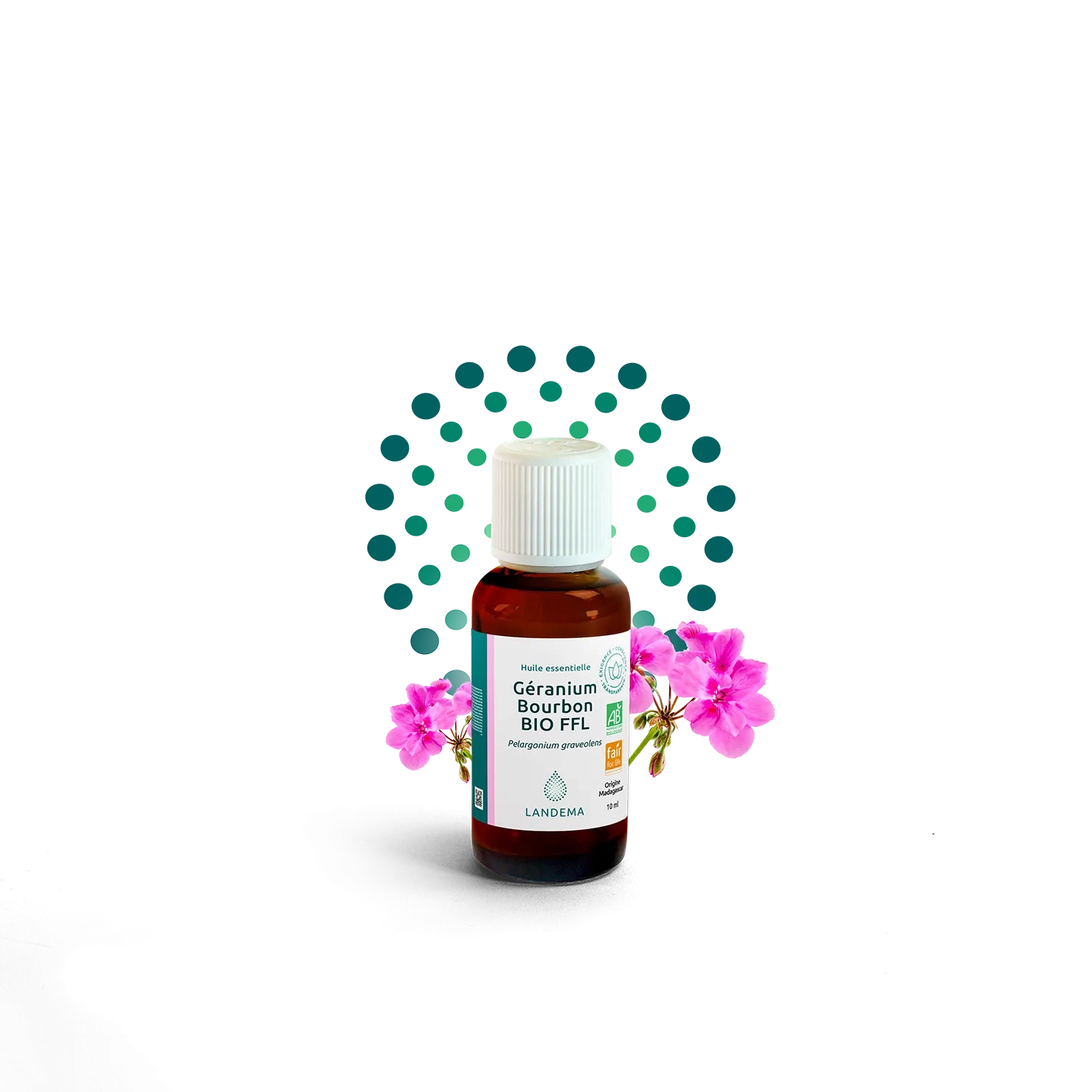 Géranium Bourbon BIO FFL
