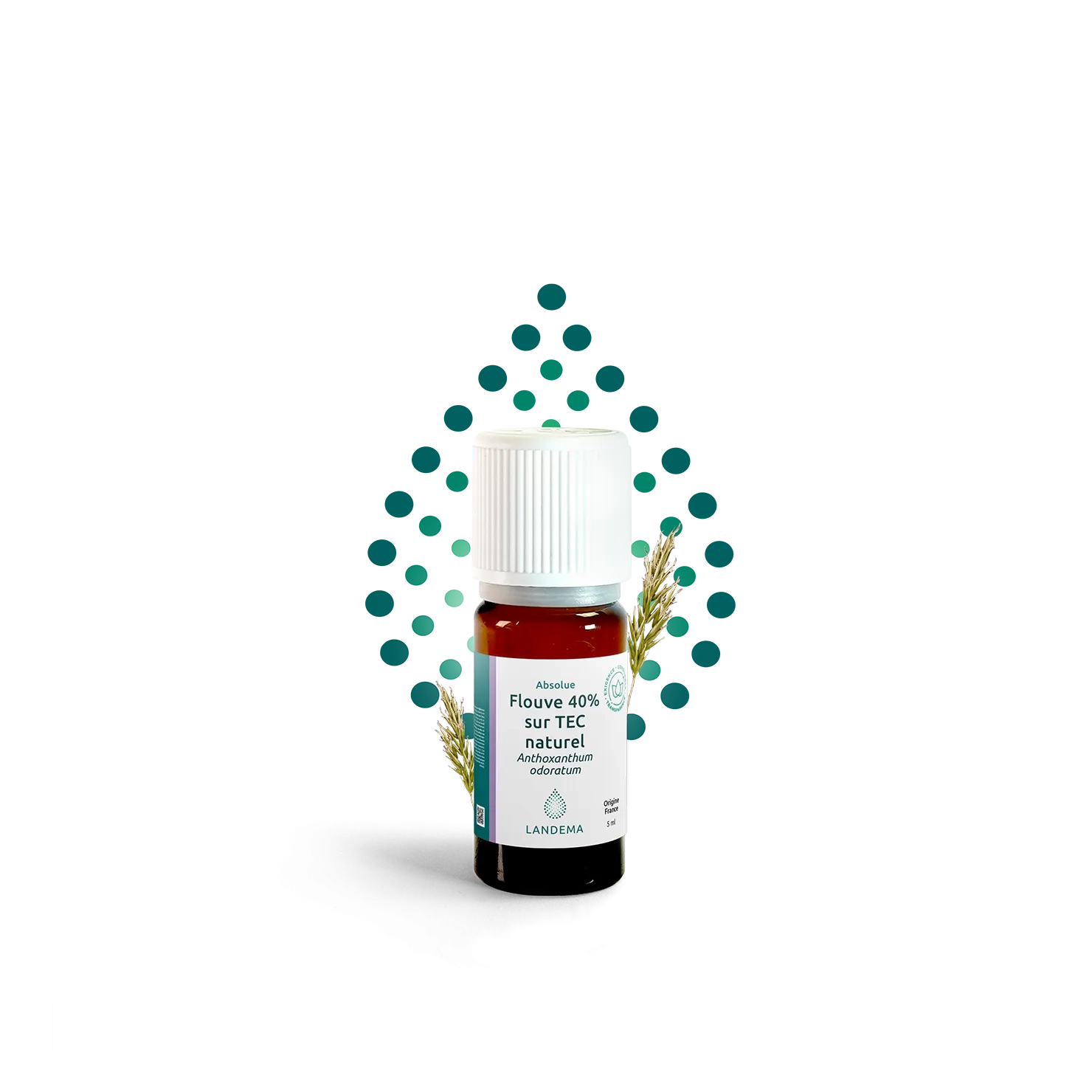 Flouve 40% sur TEC naturel