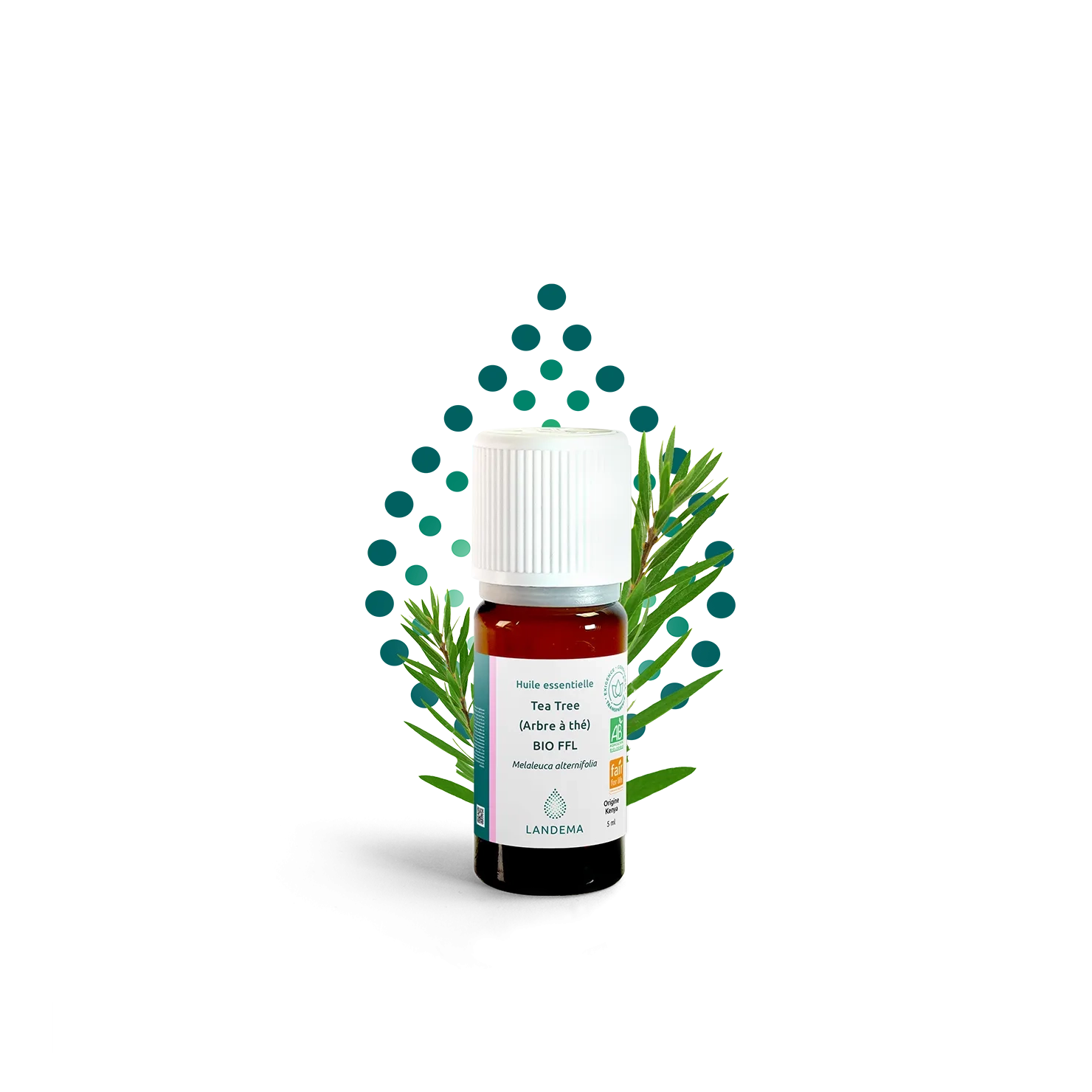 Tea Tree (Arbre à thé) BIO FFL