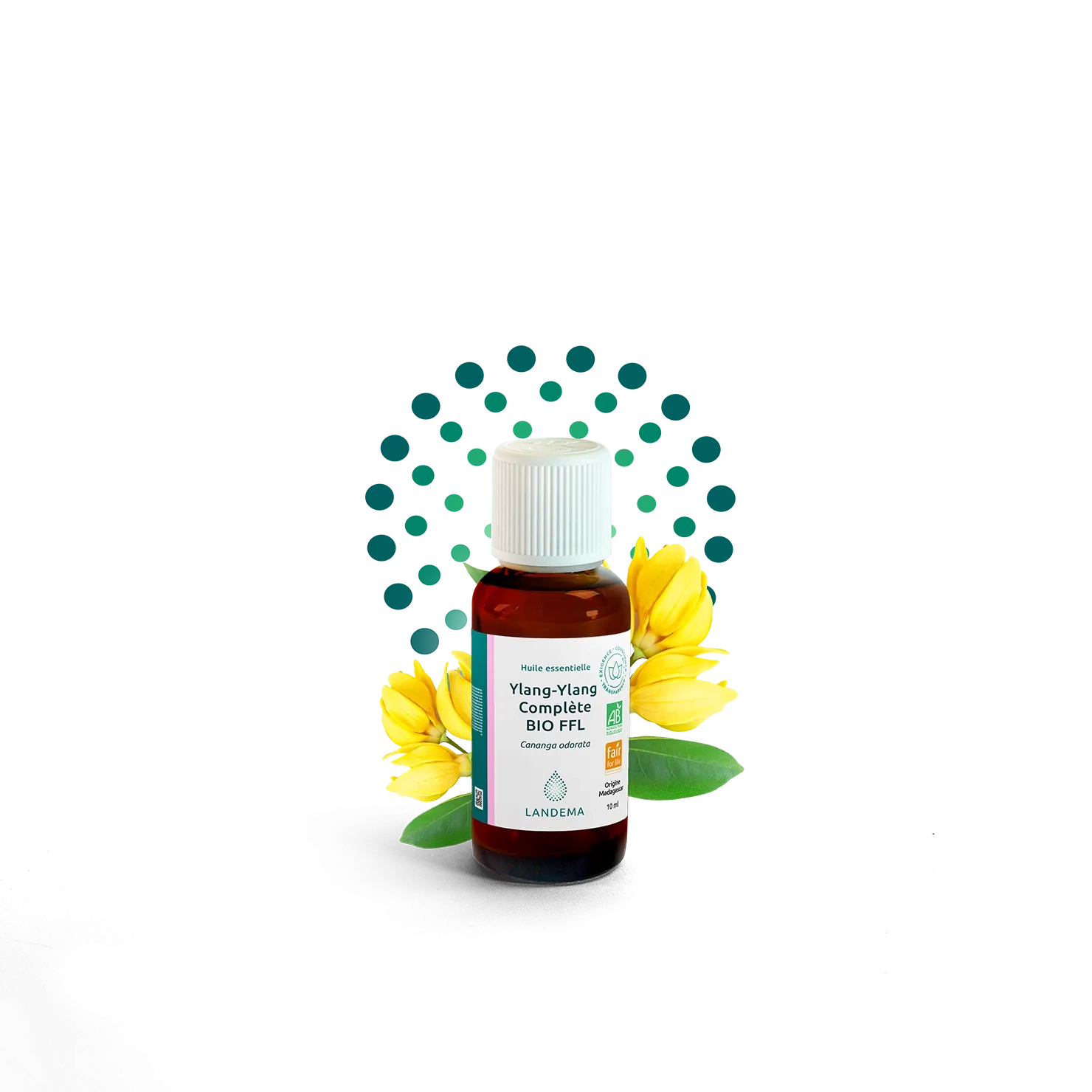 Ylang-Ylang Complète BIO FFL