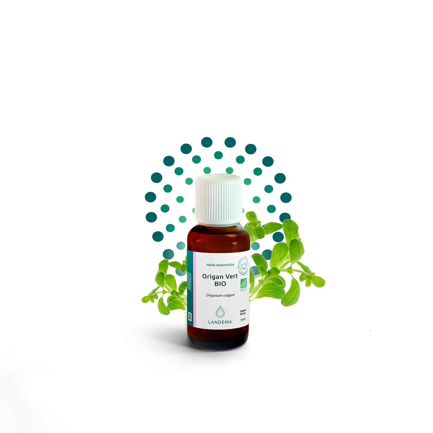 Origan Vert BIO