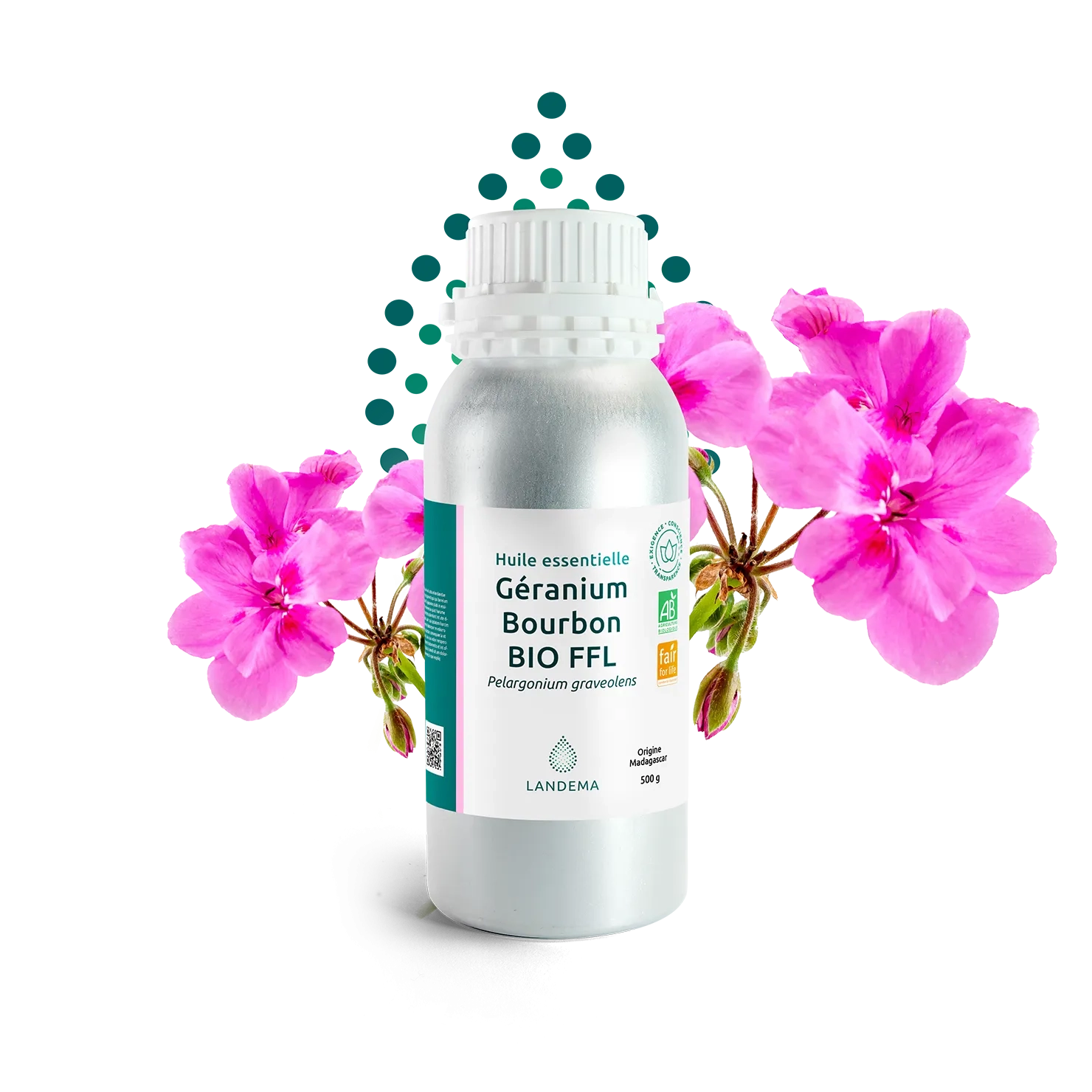 Géranium Bourbon BIO FFL