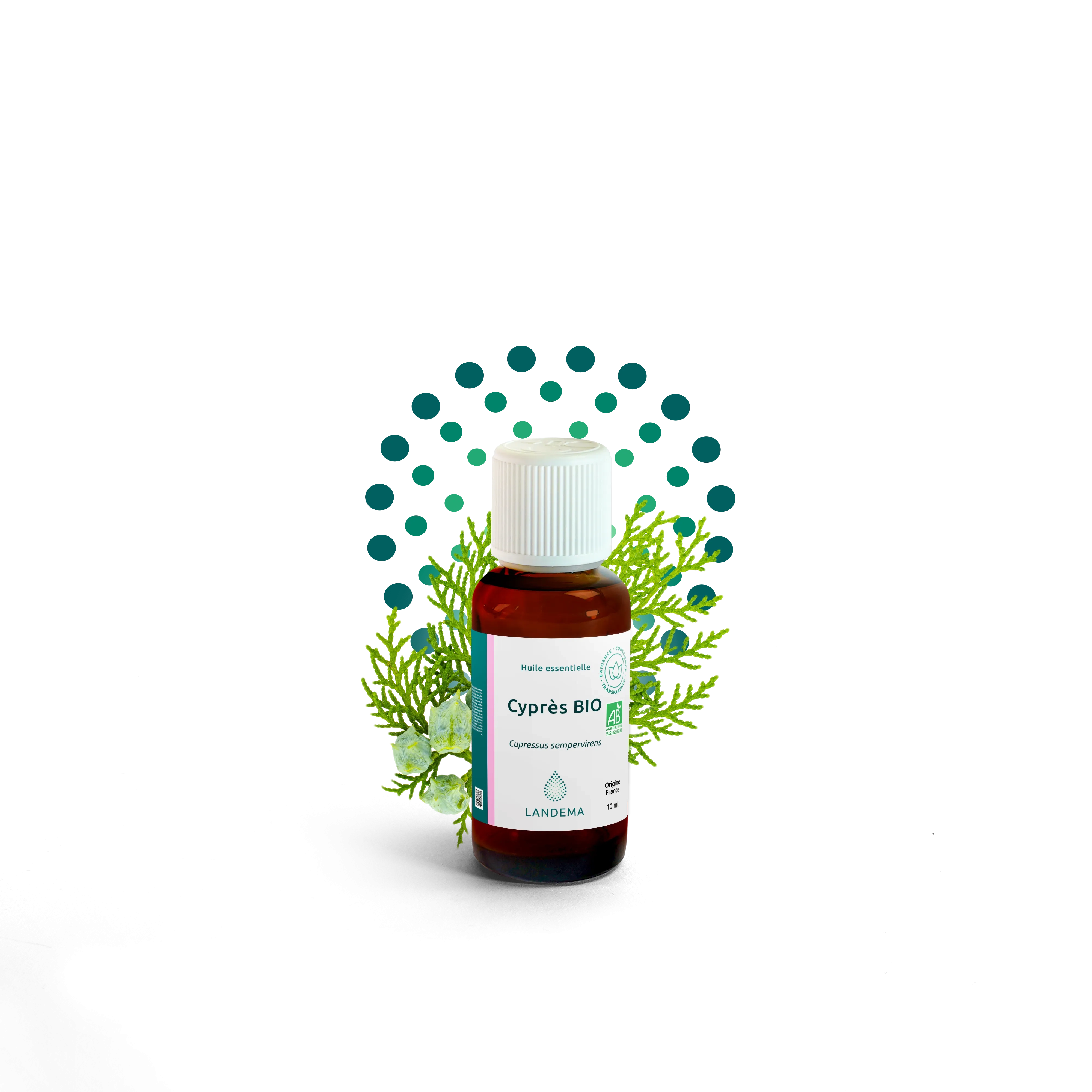 Cyprès BIO