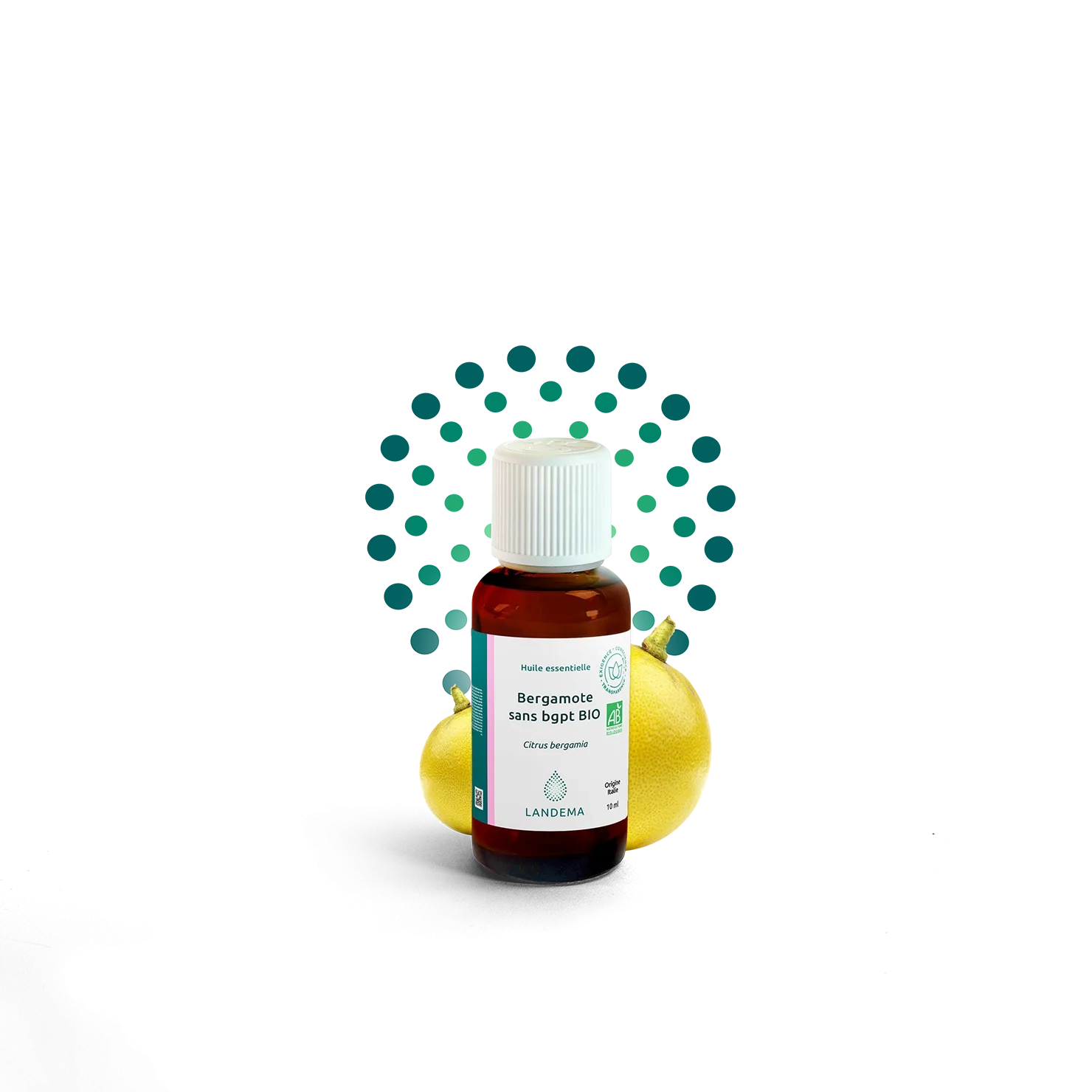 Bergamote sans bgpt BIO