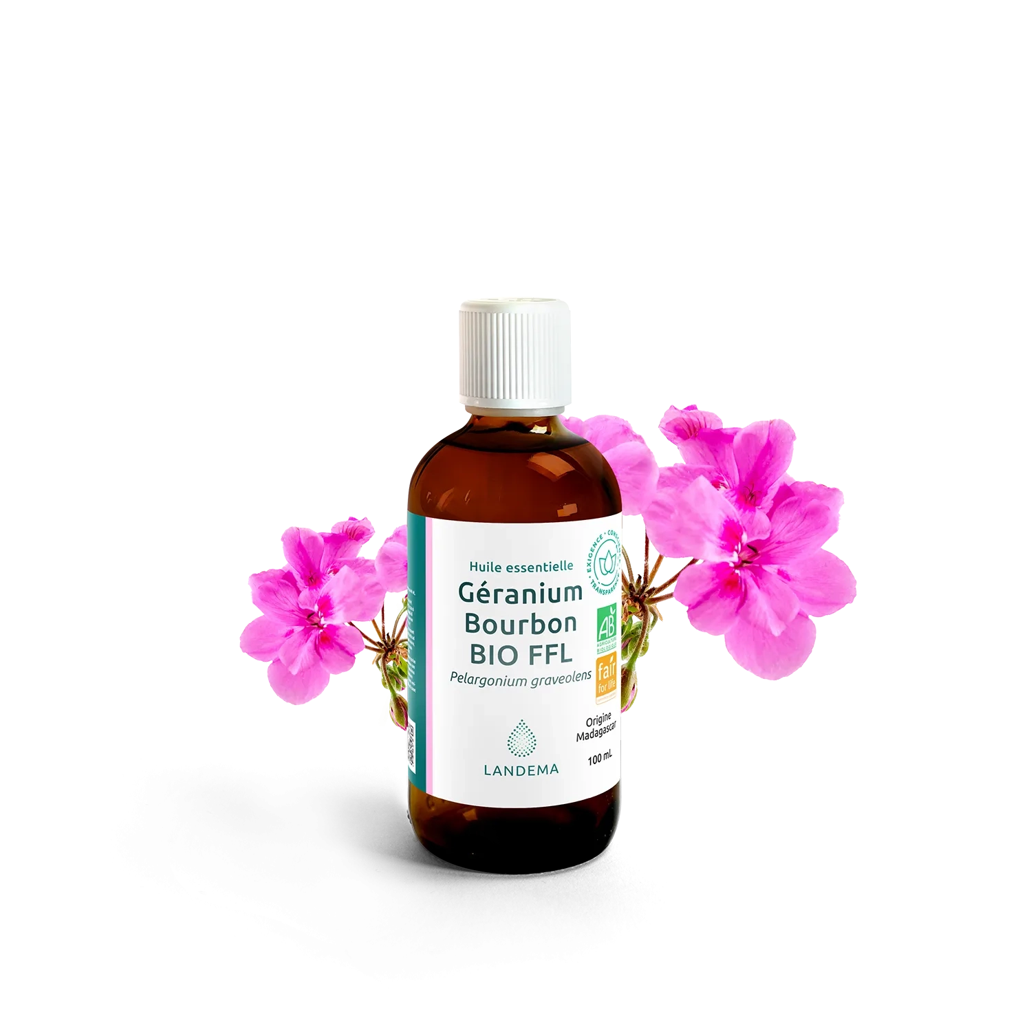 Géranium Bourbon BIO FFL