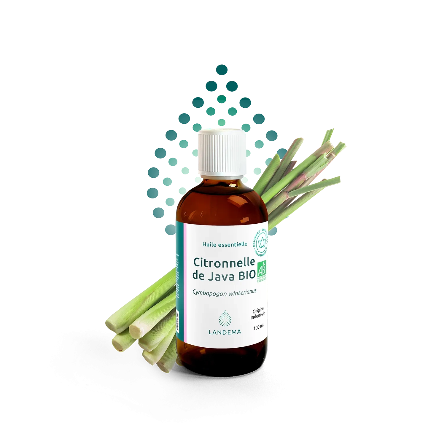 Citronnelle de Java BIO